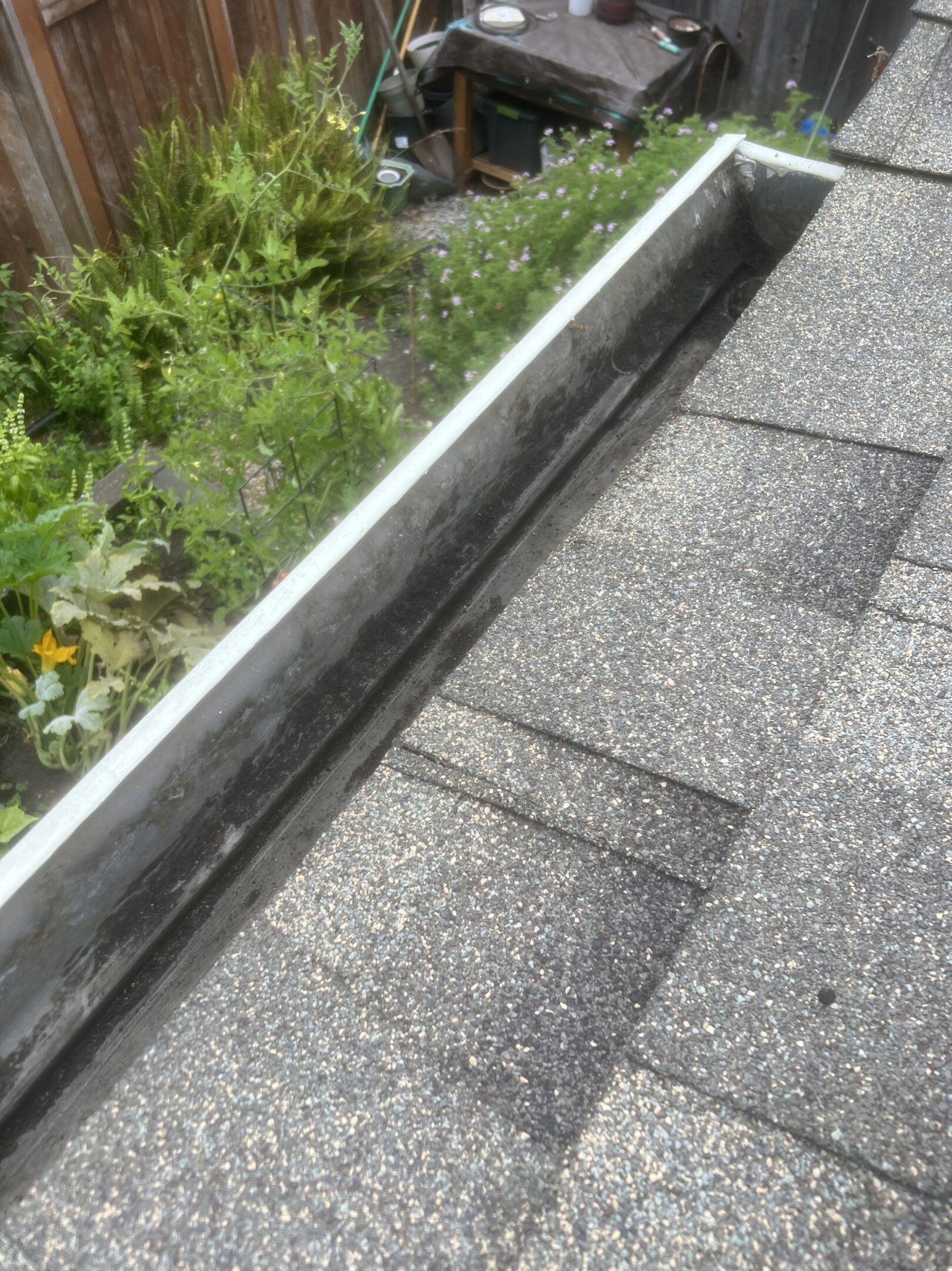 Empty rooftop gutter beside garden plants.