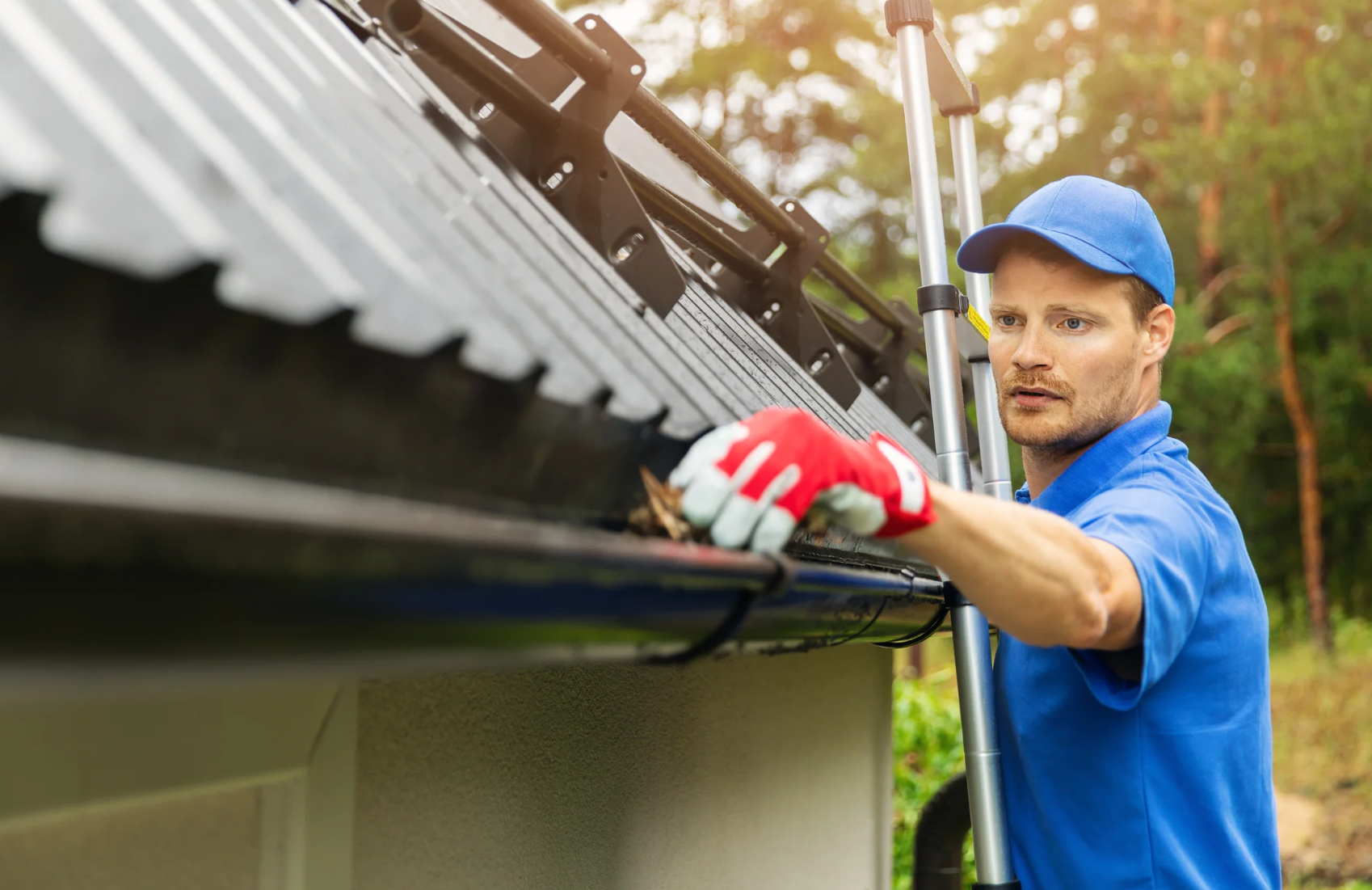 Window Cleaning (d7e4c504-c8ae-4c43-8730-35b6924b6499)